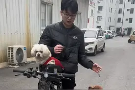 可可说：我就不坐后面，轮也该轮到我坐前面，今天小白不下来让我坐，谁也别想走。 #狗狗的心思都写在脸上了 #带狗骑行 #养狗的乐趣 #萌宠视频封面
