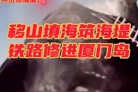铁道兵抢修鹰厦铁路：移山填海筑海堤，铁路修进厦门岛。视频封面