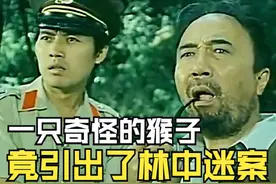 一只奇怪的猴子竟引出森林中发生的迷案。#影视解说视频封面