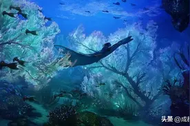《阿凡达：水之道》中虚构的海洋生物，都有哪些现实原型？图片