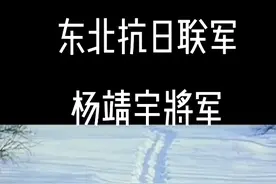 东北抗日联军#杨靖宇将军 #抗战历史收集与铭记 #中国抗战视频封面