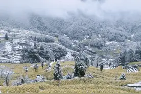 汉中这里下雪了！低温冻害风险预警→图片