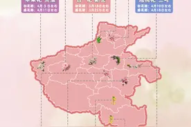 气温稳步攀升，河南春季赏花地图出炉图片
