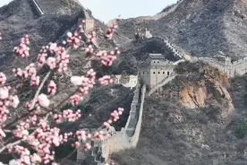 承德推出全域赏花打卡点+精品春游路线，解锁你的“春日限定”图片