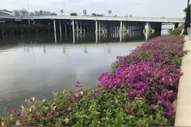 ‌经过不止一次高考的院士图片