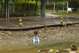 安全第一！这些防溺水知识转给师生家长图片
