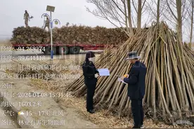 严把苗木检疫关，做好林业安全卫士图片