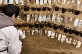 全是智商税！这11种白酒最好是不要碰图片