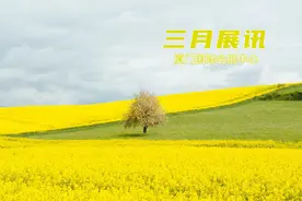三月展讯速递 | 厦门国际会展中心图片