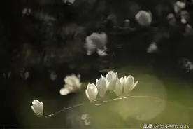 协畅与拗峭：中国现代新诗的音韵特色图片