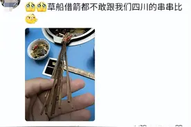 笑不活了，四川文旅再次申请出战又被自家逆子按趴，评论区笑麻了图片