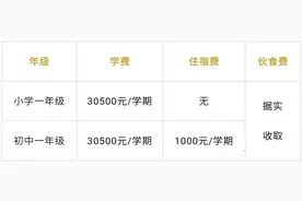 武汉民办中小学网报中！热门民办中小学2024收费标准及中考成绩！图片