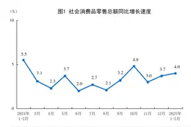 【数据发布】2025年1—2月份社会消费品零售总额增长4.0%图片