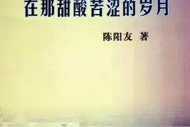 甜酸苦涩铺就人生路——读陈阳友小说《在那甜酸苦涩的岁月》随笔图片
