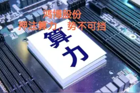 鸿博股份，押注算力，势不可挡图片