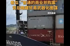 李嘉诚卖港口事件：引发广泛关注与深度争议图片