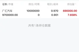 国内最大汽车经销商锁定退市，10万股民财富清零图片