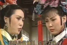 梅花烙：福晋当年为何不谎称生了龙凤胎？同时保住亲生孩子和地位图片