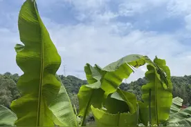 搞错了——临海故事图片