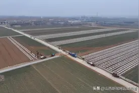 垣曲县柏底村：不负春光播种忙 菜籽产业助增收图片