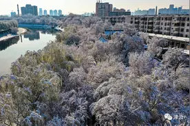 明日“大雪”，天津的雪也安排上了！还是连着两场？具体时段→图片