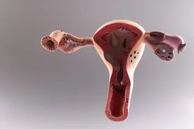 高龄女性做试管婴儿，有限制吗？图片