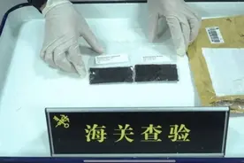 海关查获！暂无中文名称图片