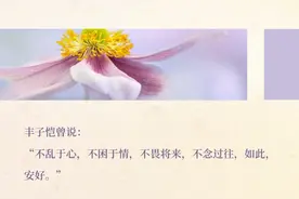 3个关于遗憾的句子，句句让人破防图片
