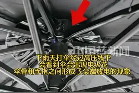 闯入高压电领域的禁忌！网友撑伞惊现电花奇观，引发全民关注！图片