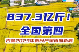 “吉”有看点 | 837.3亿斤！全国第四！吉林2023年粮食产量再创新高图片