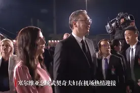 中方专机深夜抵塞，武契奇夫妇亲自迎接，这趟中国为何非来不可？图片