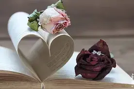 结婚10年才明白，好的婚姻，都是“恒温模式”图片