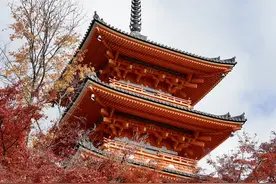 7天6夜京都、奈良、大阪赏枫之旅，超低花费整理图片