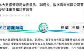 海南省大数据管理局党委委员、副局长，数字海南有限公司董事长吴成接受审查调查图片
