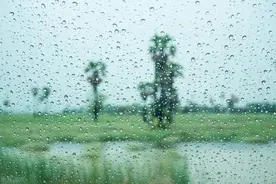 大雨不断，湿气来袭！想要祛湿气，还得靠这两个“经典名方”图片