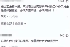 后续来了!高速截停私家车事件,荆州市发声,调查组进驻,将从严追责图片