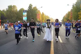 君乐宝2024石家庄·鹿泉半程马拉松激情开跑！图片