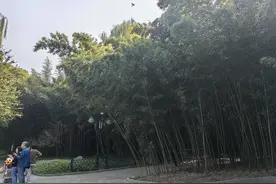 李克农一生从事过哪些工作？图片