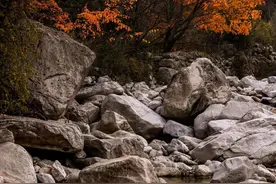 事关秦岭穿越登山，这些行为全部违法图片