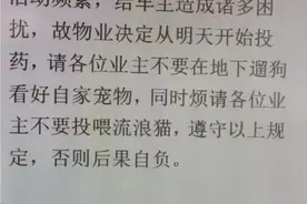长春一小区通知将对地下车库流浪猫投药，物业：为了警醒遛狗业主，未展开实际行动图片