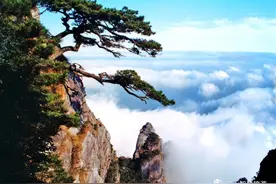 春光灿烂|庐山核心景区旅游交通乘车攻略图片