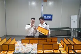 大砗磲图片