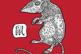 生肖鼠图片