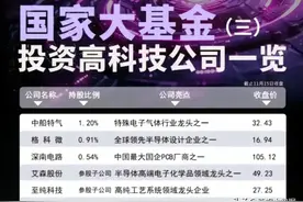 国家大基金投资的高科技公司名单出炉！图片