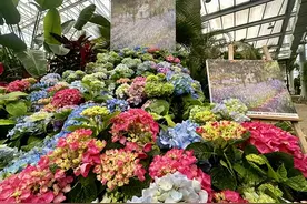 2025“春舞福狮奇遇记”——沈阳植物园春季踏青游园会即将欢乐开启图片