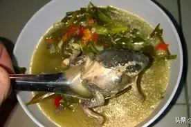 含剧毒，无解药，这种东西不能吃，加热120℃也没用，有人已中招图片