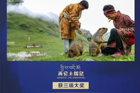拿下金鸡奖的“土拨鼠”回云南了图片