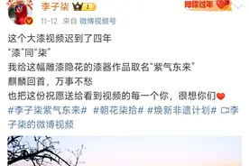 李子柒回归，带火“漆器”！这项非遗，到底有什么魅力？图片