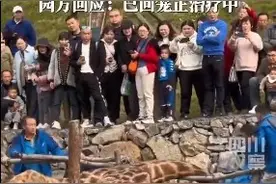 湖北宜昌一动物园开业第1天长颈鹿摔倒后死亡？动物园最新回应：正在积极治疗中图片