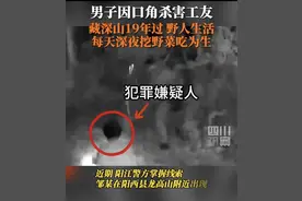 男子因口角杀工友藏深山19年，每天深夜挖野菜吃为生图片